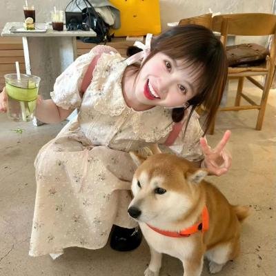 九星报喜